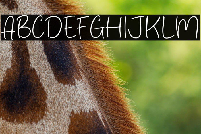 Reality Scene Example 3