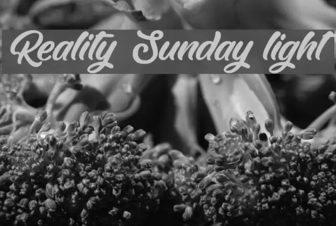Reality Sunday light Font examples