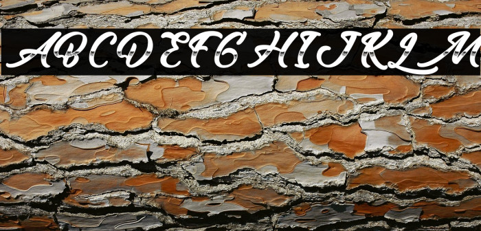 Reality Sunday Example 1