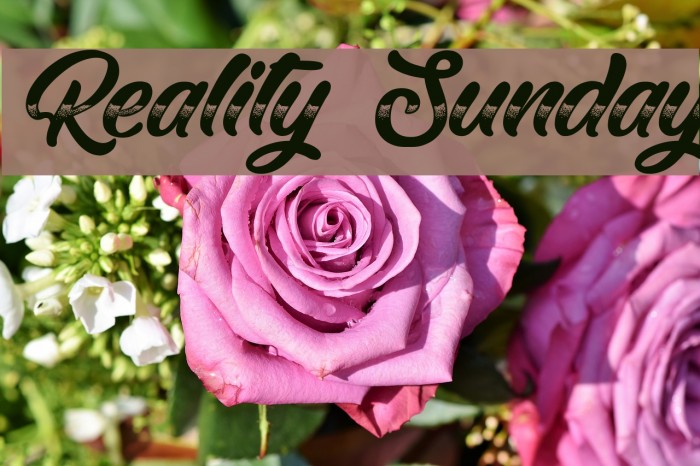 Reality Sunday Example 2