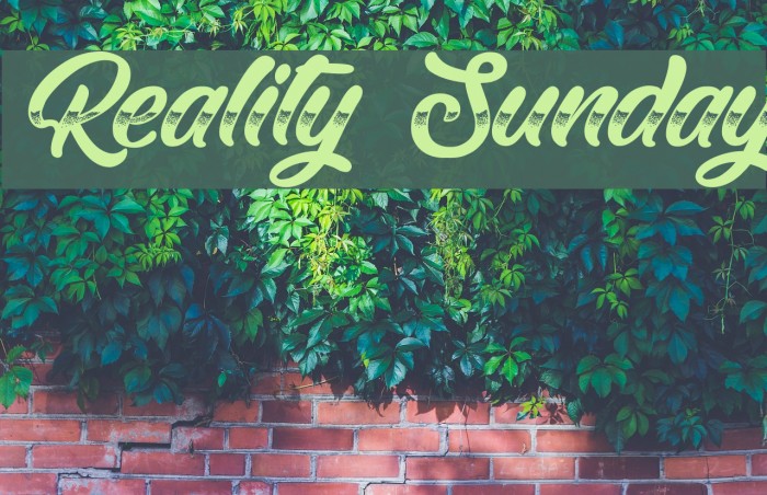 Reality Sunday Example 3