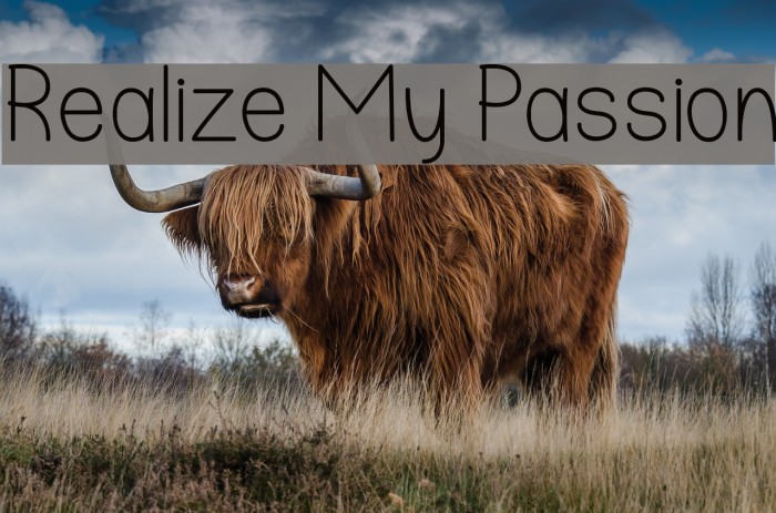 Realize My Passion Font examples