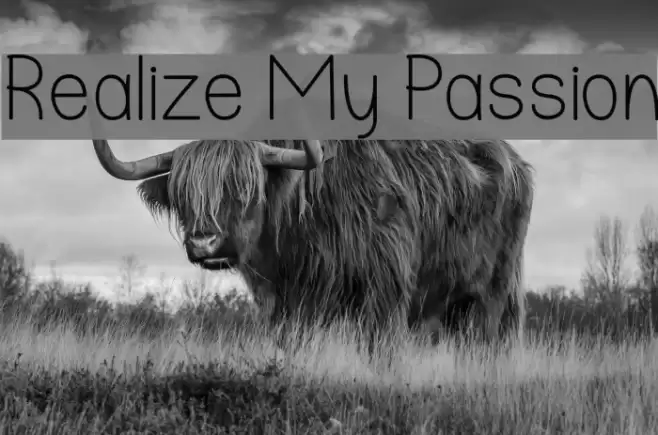 Realize My Passion Font examples