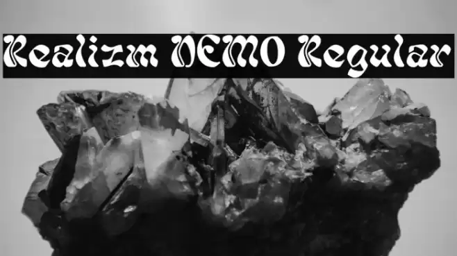 Realizm DEMO Regular Polices examples