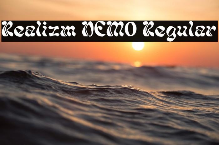 Realizm DEMO Regular Example 2