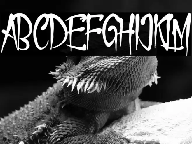 Realiztix Font examples