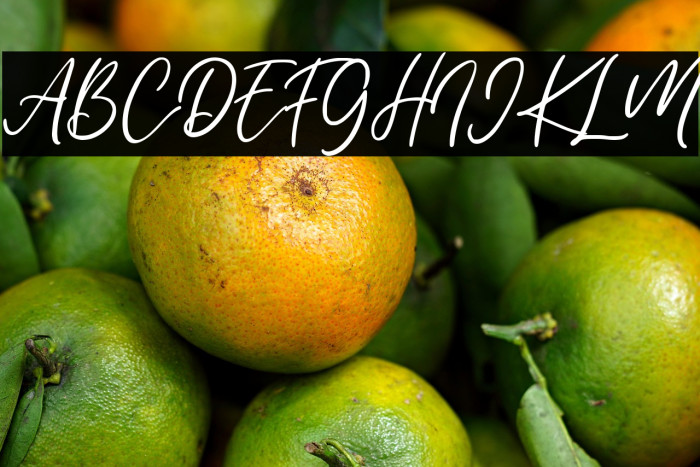 Reallax Reaxion Example 2