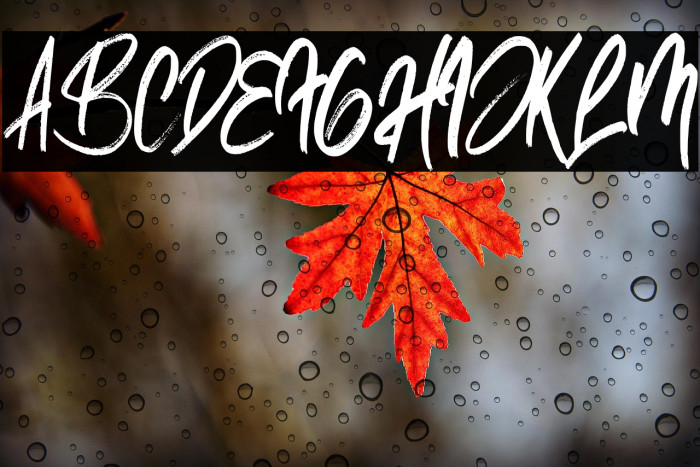 ReallistiC Example 2