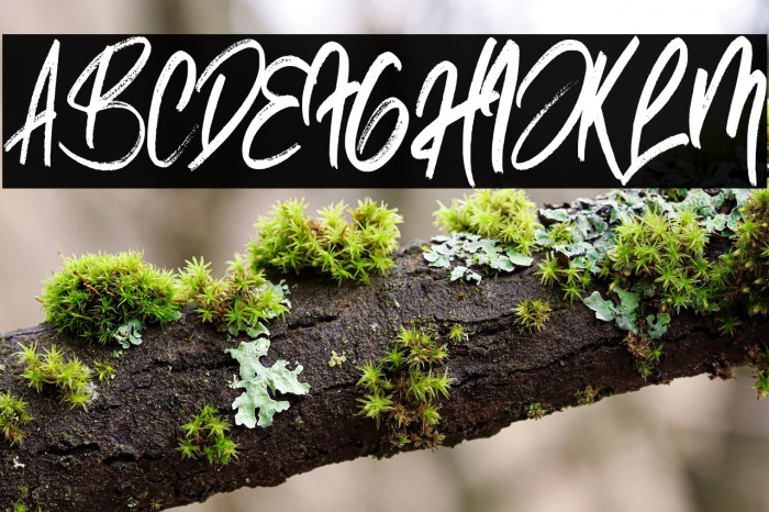 ReallistiC Example 3