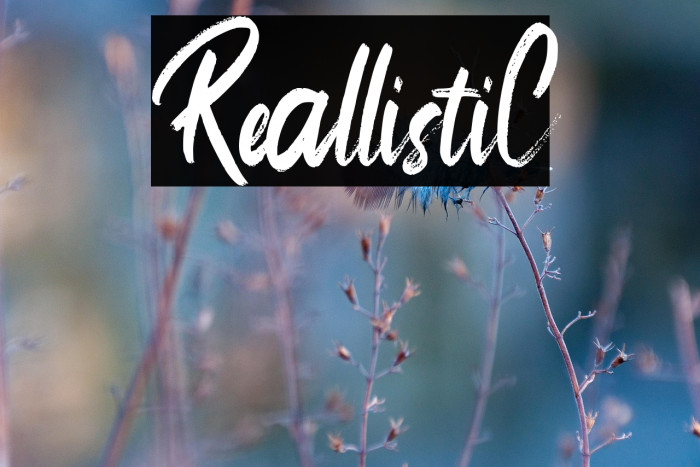 ReallistiC Example 1