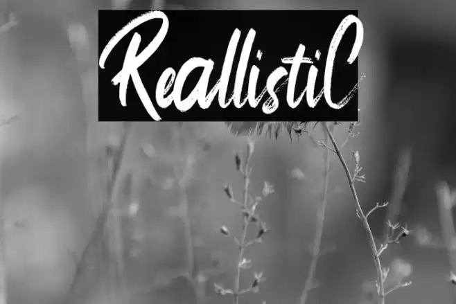 ReallistiC Font examples