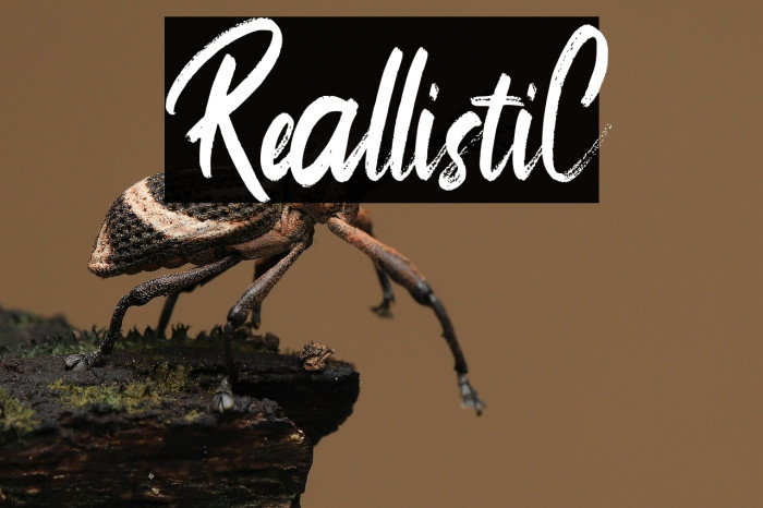 ReallistiC Example 2