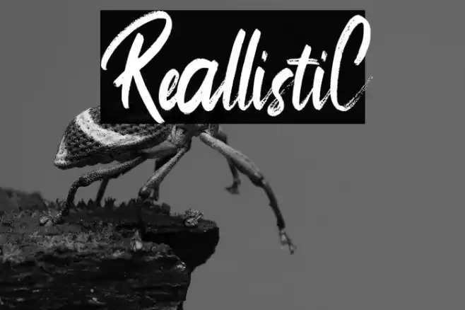 ReallistiC Font examples