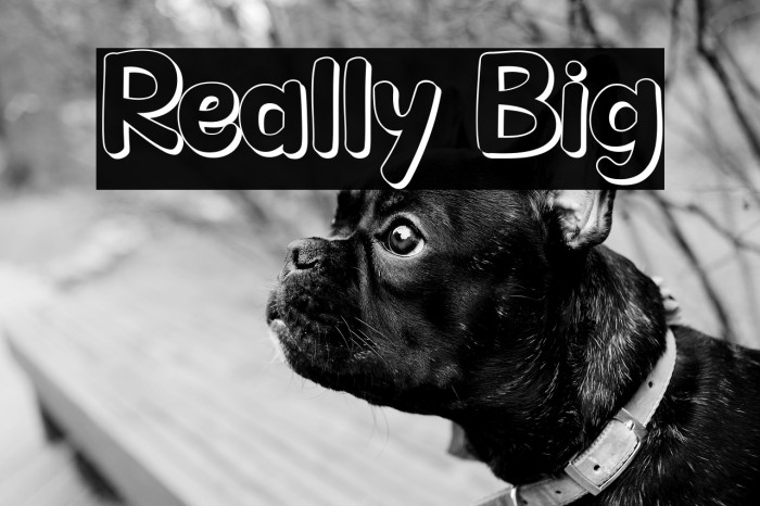 Really Big Example 3