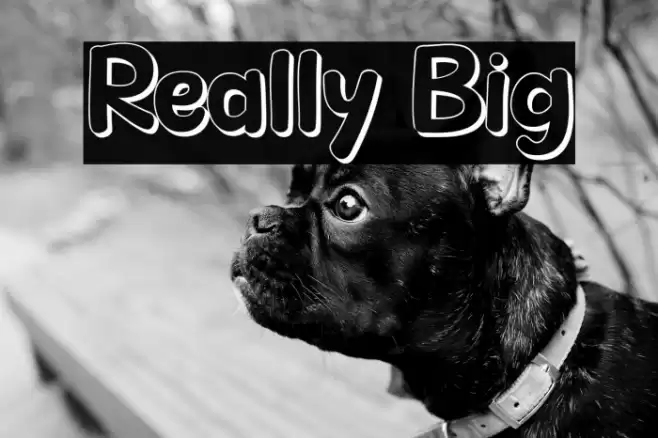 Really Big Font examples