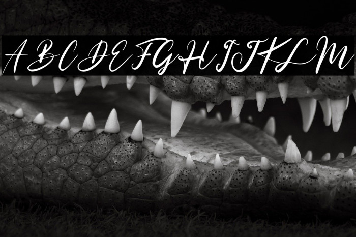 Really Distinct Example 2