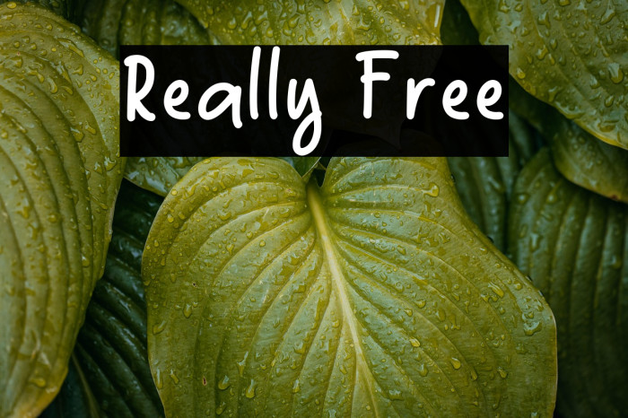 Really Free Example 3