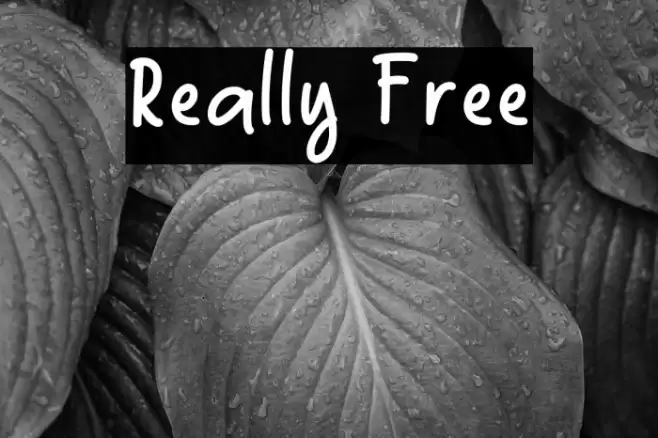 Really Free Font examples