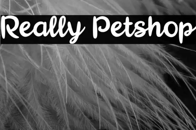 Really Petshop Font examples