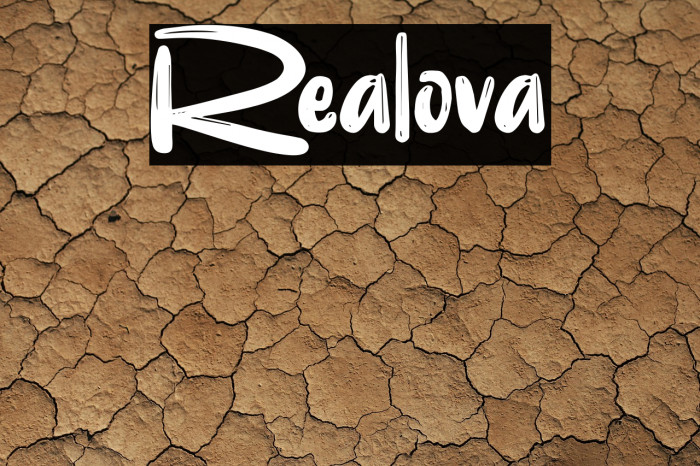 Realova Example 1