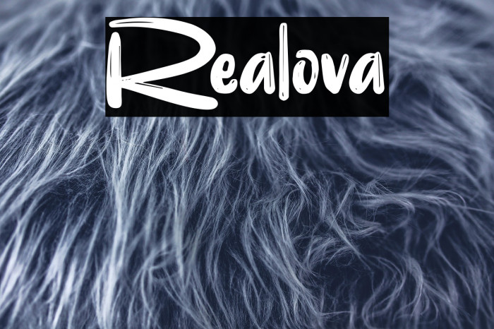 Realova Example 2