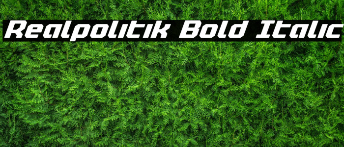 Realpolitik Bold Italic Font examples