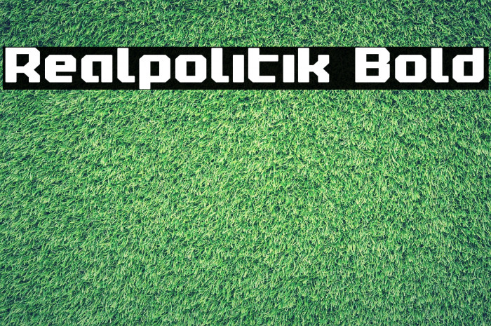 Realpolitik Bold Font examples