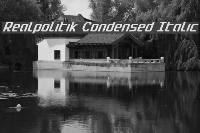 Realpolitik Condensed Italic Font examples