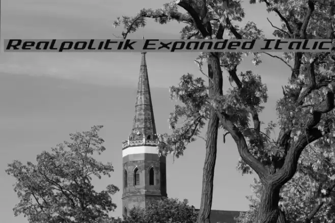 Realpolitik Expanded Italic Font examples
