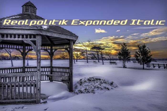 Realpolitik Expanded Italic Example 2