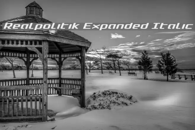 Realpolitik Expanded Italic Font examples