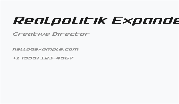 Realpolitik Expanded Italic Business Card