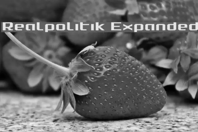 Realpolitik Expanded Font examples