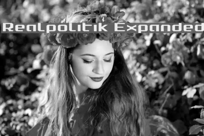 Realpolitik Expanded Font examples