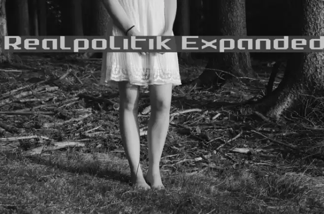 Realpolitik Expanded Font examples