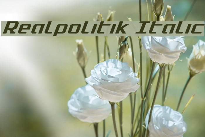 Realpolitik Italic Font examples