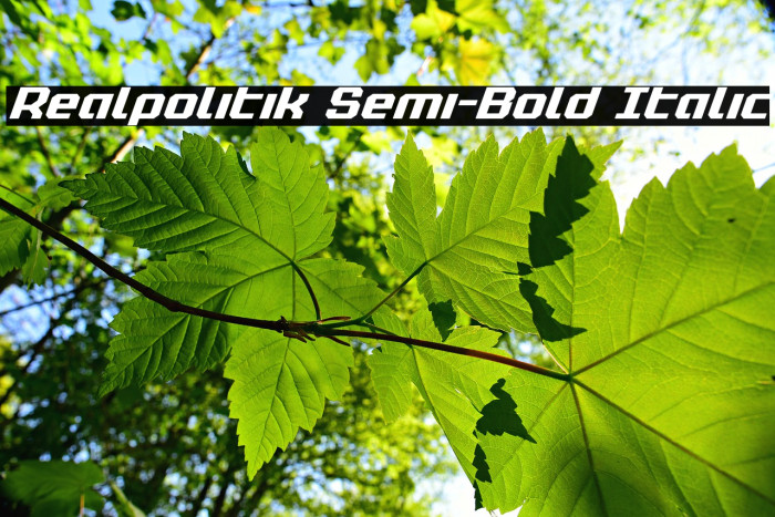 Realpolitik Semi-Bold Italic Example 1