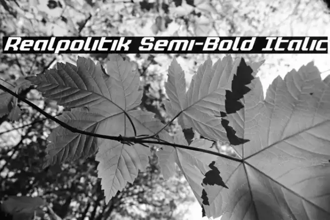 Realpolitik Semi-Bold Italic Font examples