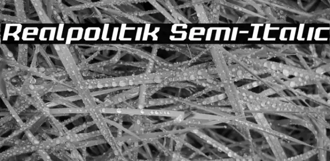 Realpolitik Semi-Italic Font examples
