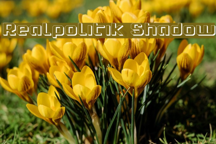 Realpolitik Shadow Font examples