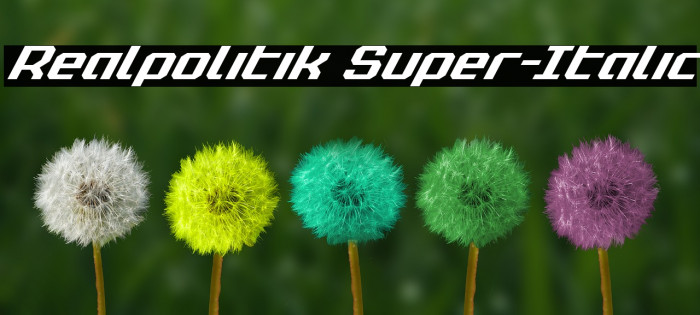 Realpolitik Super-Italic Example 2