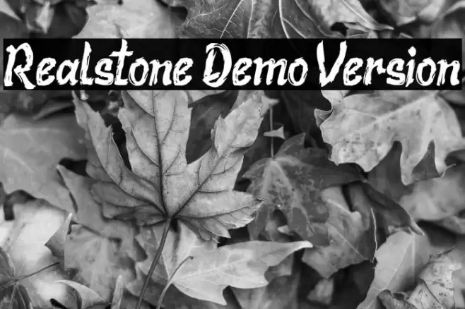 Realstone Demo Version Font examples