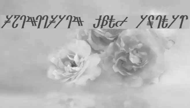 Reanaarian Bold Italic Font examples