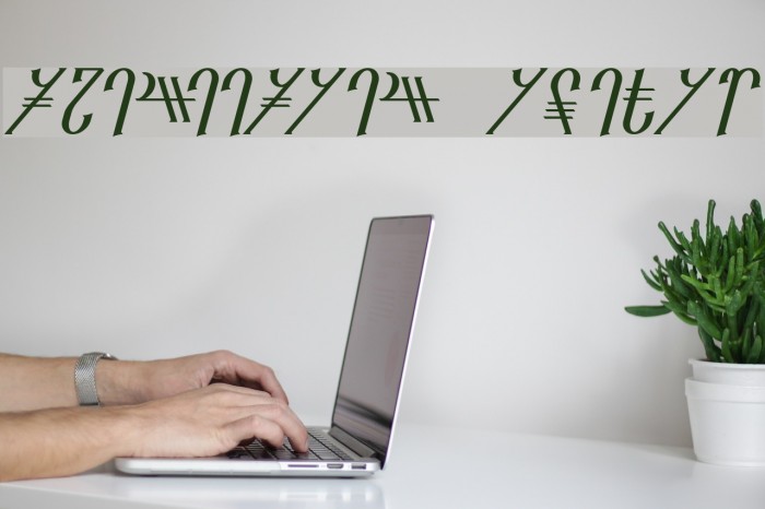 Reanaarian Italic Font examples