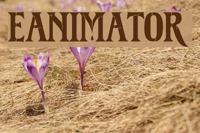 Reanimator DEMO Font examples