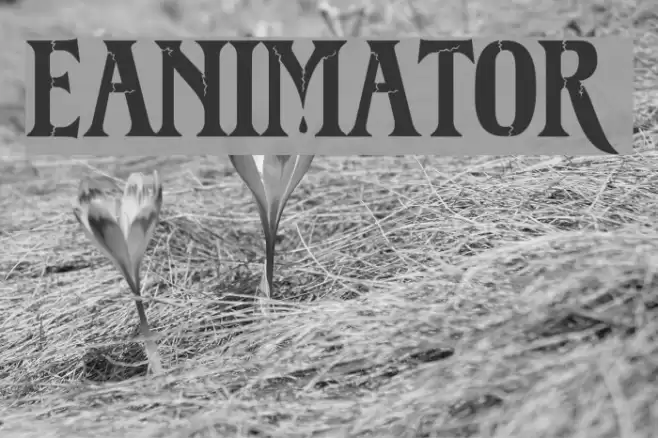 Reanimator DEMO フォント examples