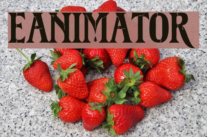 Reanimator DEMO Font examples