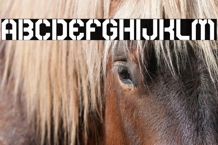 Rear Defender Example 1