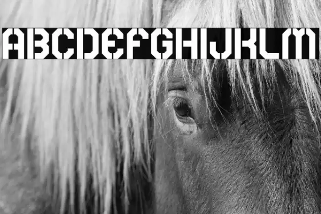 Rear Defender Font examples