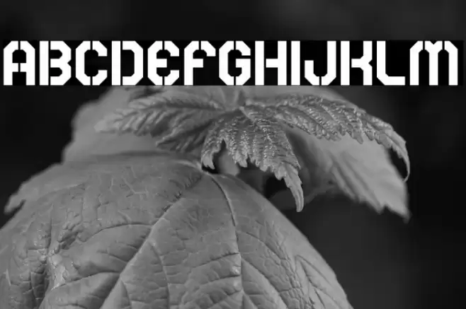 Rear Defender Font examples